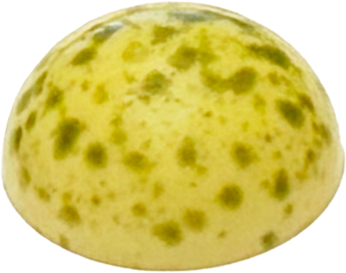 Galaxy Praline White Mojito