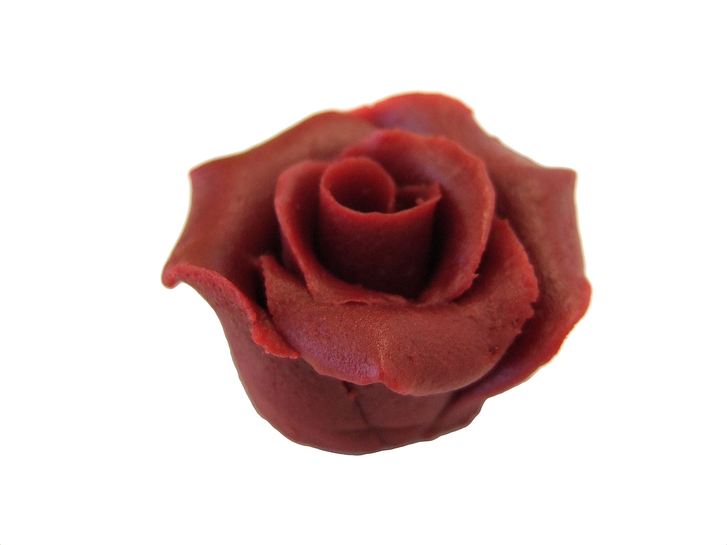 Rosen mittel bordeaux