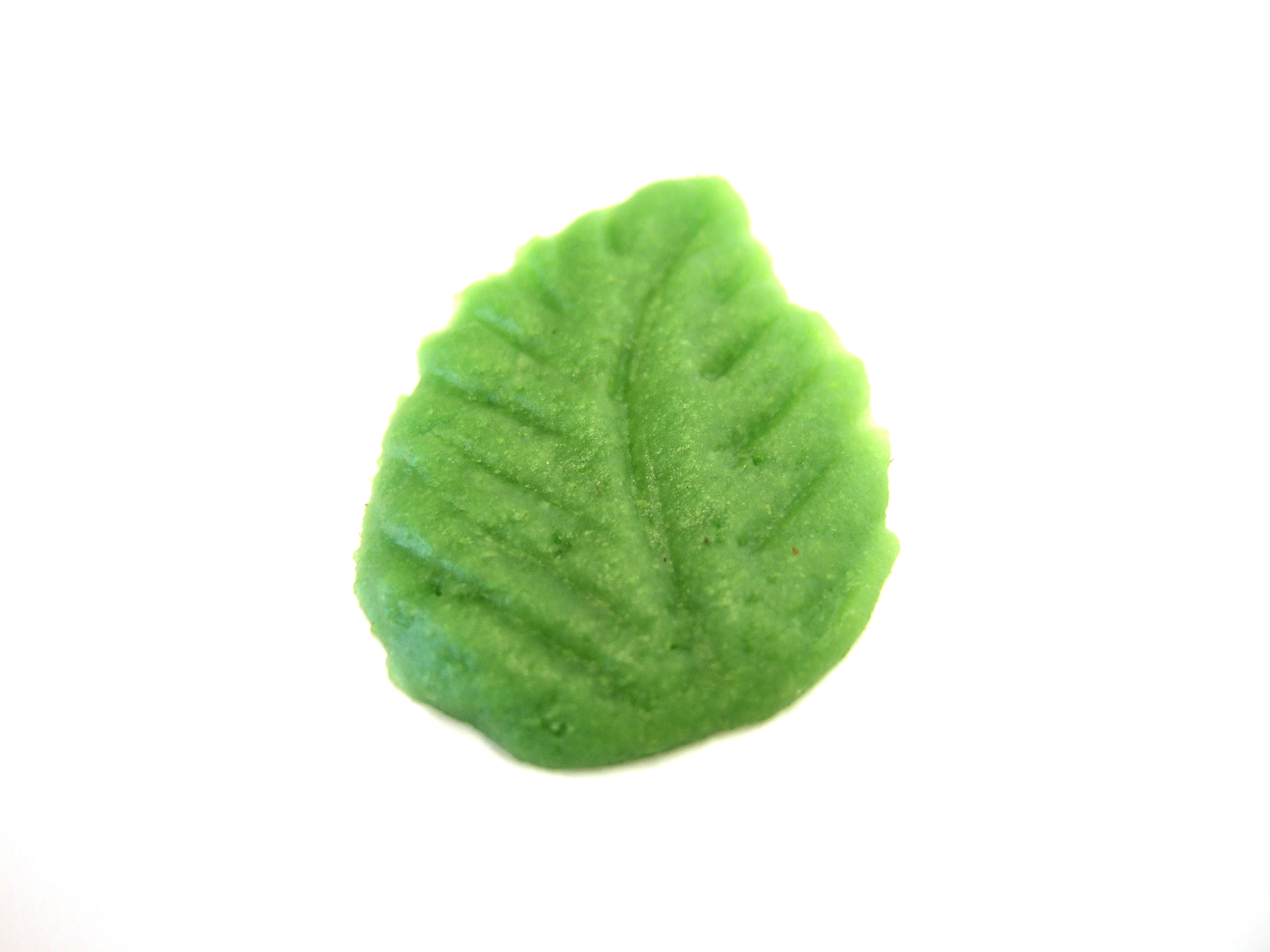 Rosenblätter klein grün